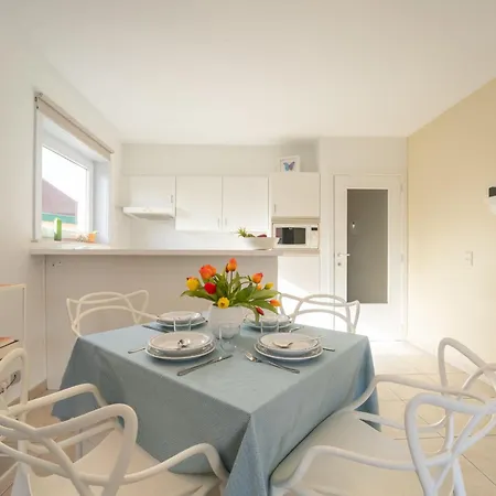 With And Parking By Interhome Apartment De Haan